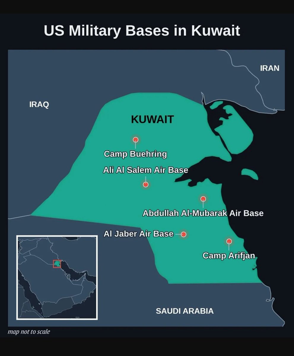 Rami 🦁 tweet media