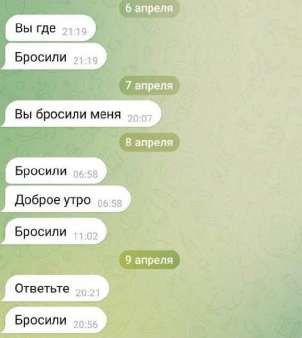 кнут и пряник tweet media