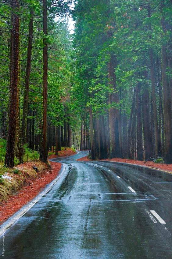 Beauty of Nature tweet media