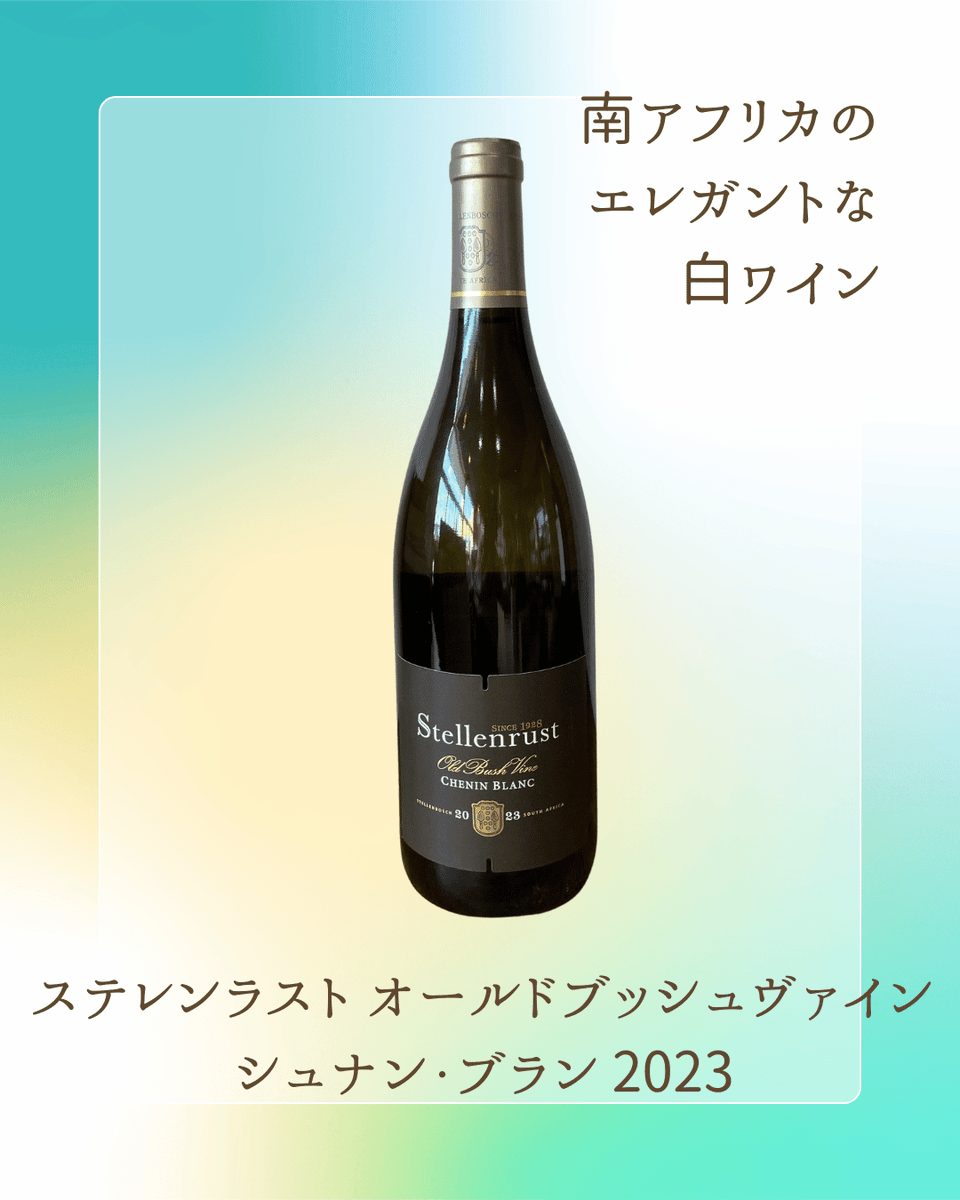 loin_vin's tweet photo. 🥂【白】ステレンラスト オールドブッシュヴァイン シュナン・ブラン 2023 ／南アフリカ 

1928年創業の老舗が古木から造る白ワイン。桃・洋梨のフレッシュな果実味にハチミツのニュアンスが重なり、爽やかで奥行きのある味わい✨ 
 🍽ペアリング：海老・帆立のグリル、春野菜のパスタ https://t.co/ReAGNEHtea