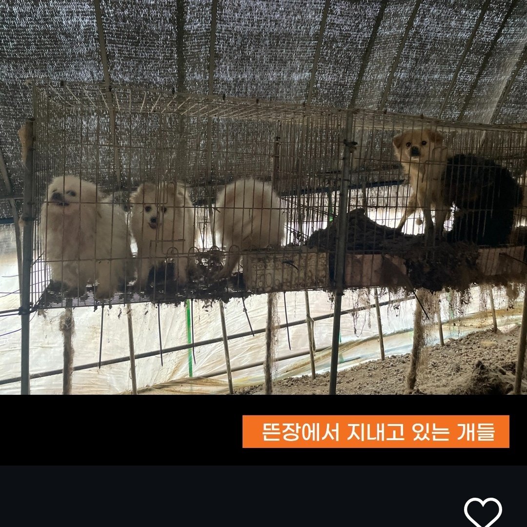 쏠티네나비랑돌비 tweet media