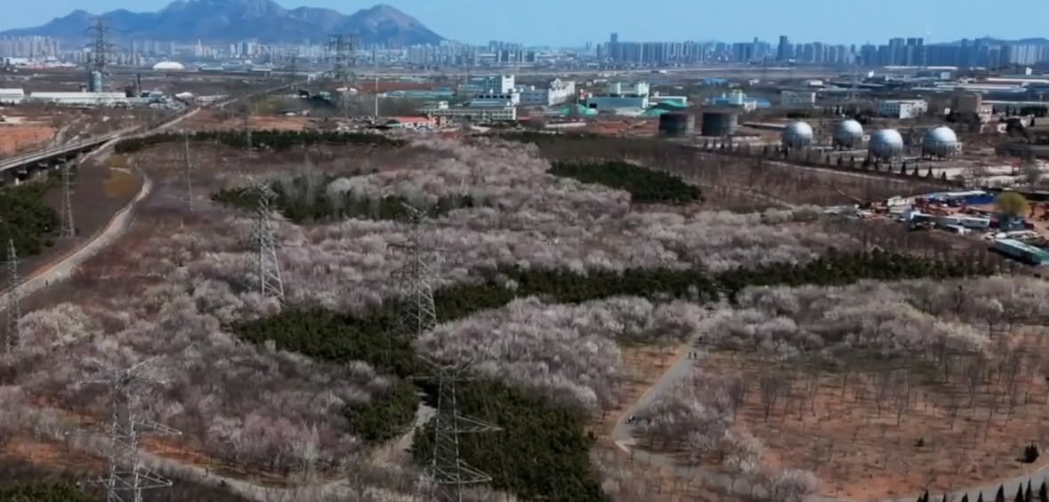 China Pictorial tweet media