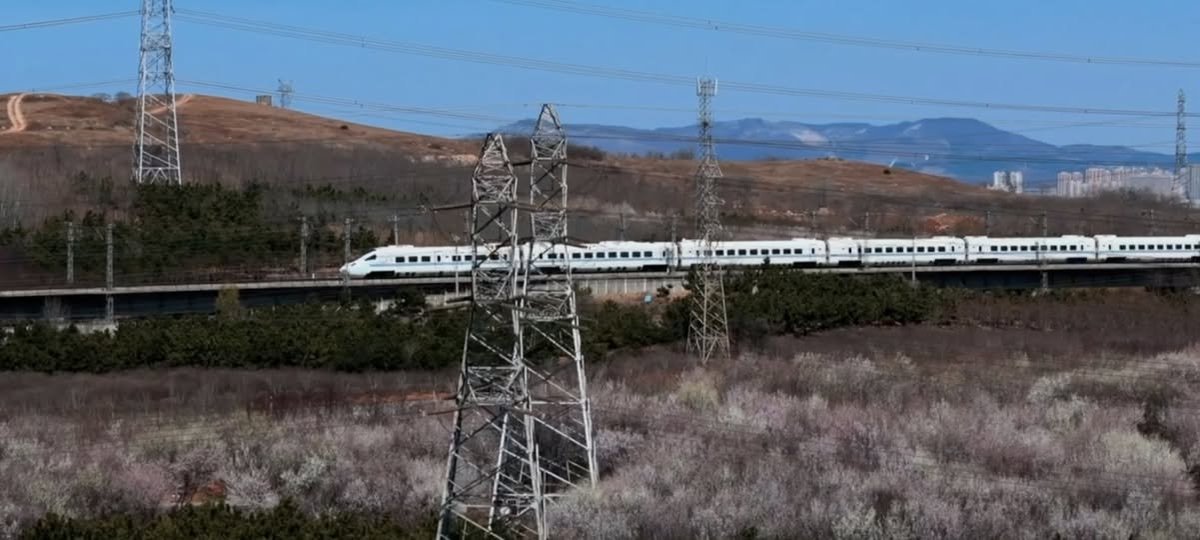 China Pictorial tweet media