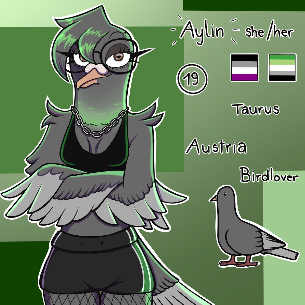 aydrws_'s tweet photo. @Ara_Squawks pigon https://t.co/YHIiSvHFcg