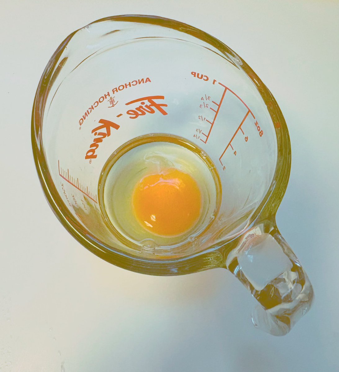 はるかぜ【文フリ東京42 G35-36】 tweet media