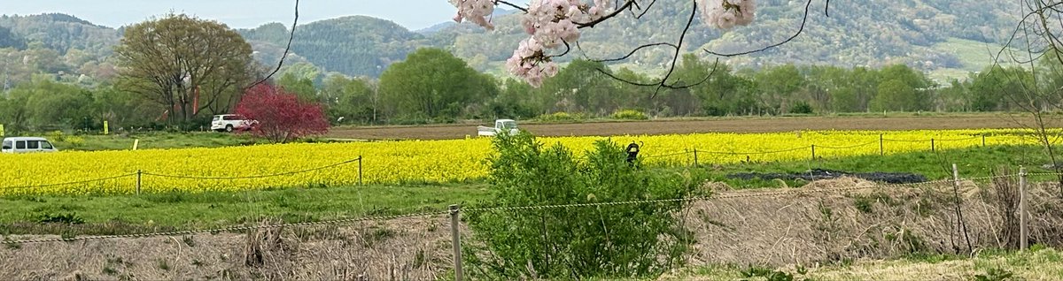 ぼたきく tweet media