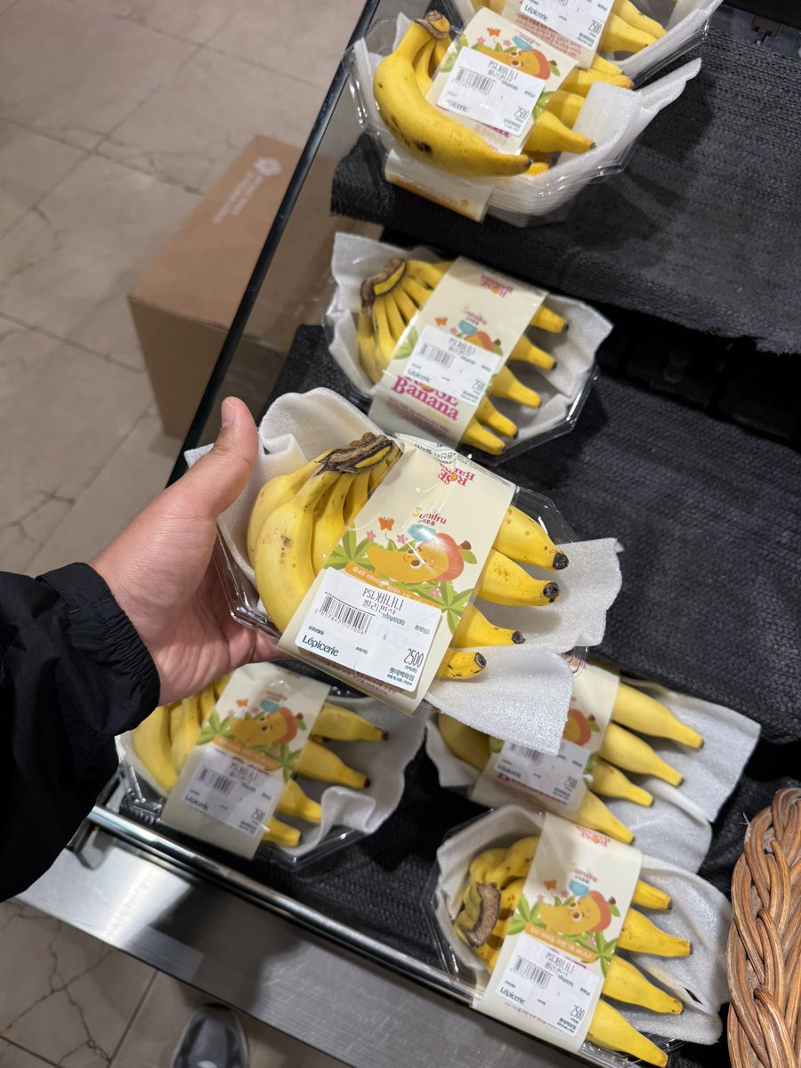 타수성가 tweet media