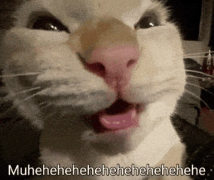 onyil🤓 tweet media