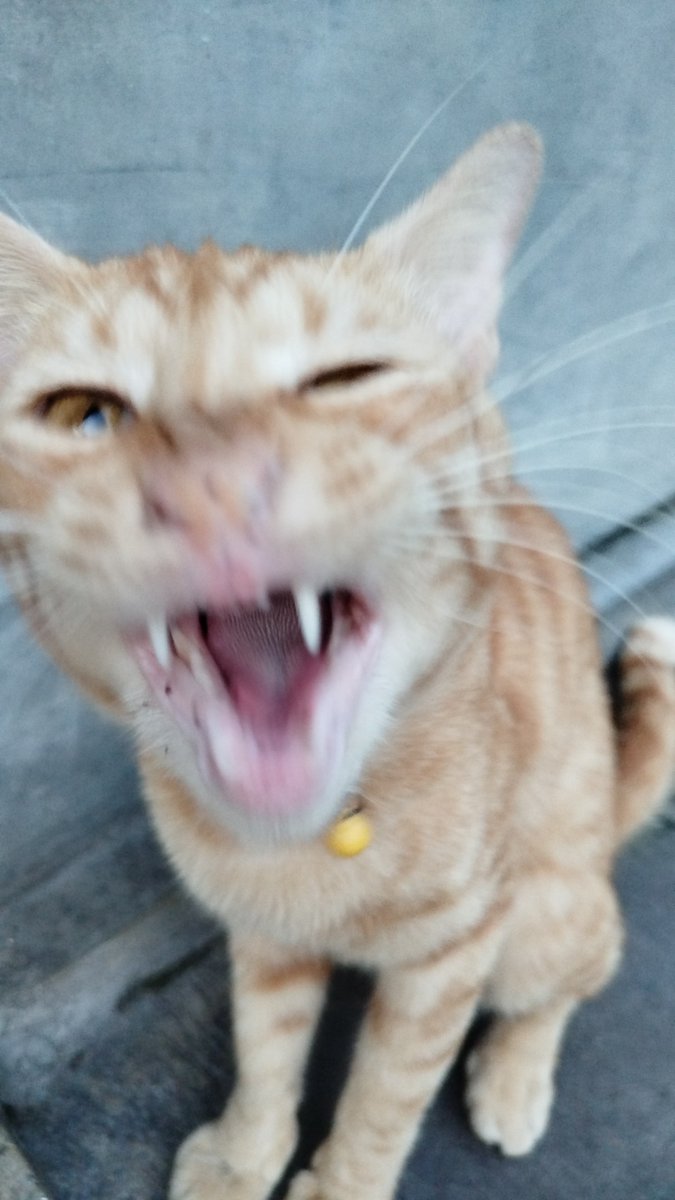 kairi🫒 tweet media