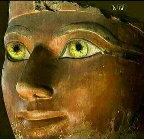 𓂀 Nefertiti : Nile Tales 𓅓 tweet media