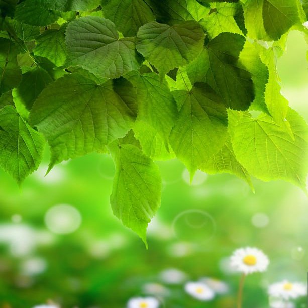 mai&kiki魔女の宅急便 tweet media