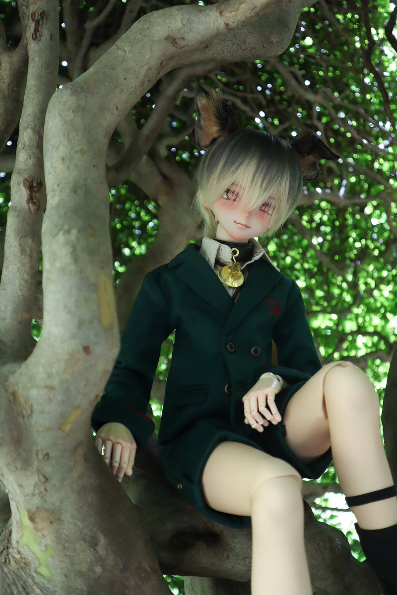 るーじぇ🐾 tweet media