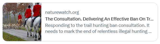 AmeleaTeckel's tweet image. Fed up with 🦊hunts filling in badger setts &amp;amp; deliberately killing our #wildlife?
Here's a little more info to help you fill in✍️the consultation #thismorning, in addition to that provided by Protect the Wild &amp;amp; the HSA:
🔎naturewatch.org/the-trail-hunt…
#badgermonday🦡