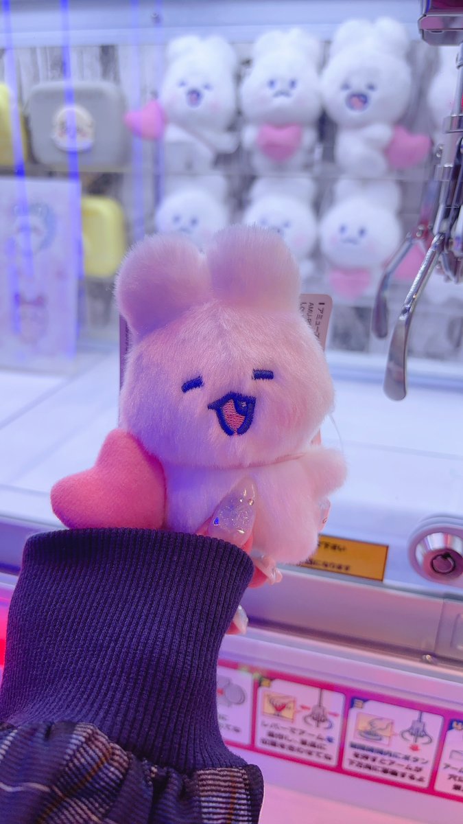 ゆめみるメイド tweet media