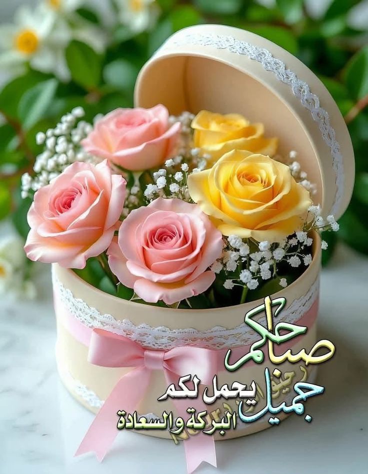 🦋Shrouk Mohamed🦋 tweet media
