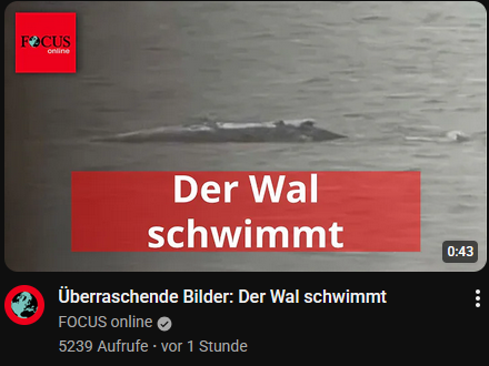 hoemeyy's tweet photo. und? wenn ich zur arbeit fahre gibts auch keine schlagzeilen https://t.co/nSs3z72fRb
