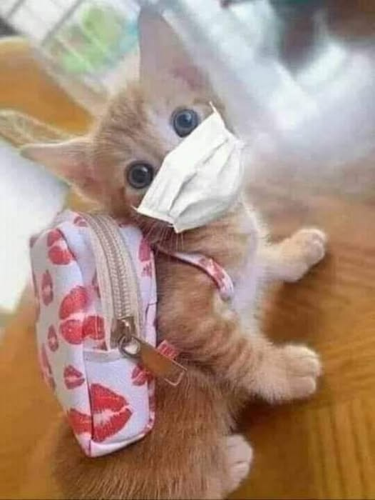 ONMANANA tweet media