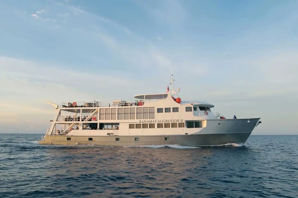 LiveaboardCom's tweet image. Up to 25% OFF August Bahamas diving! 🌴 Join Bahamas Aggressor II with balcony suites, hot tub, sun deck &amp;amp; epic reef diving in crystal-clear waters. Book now!

liveaboard.com/diving/bahamas…

#BahamasDiving #Liveaboard #ScubaDiving #DiveBahamas