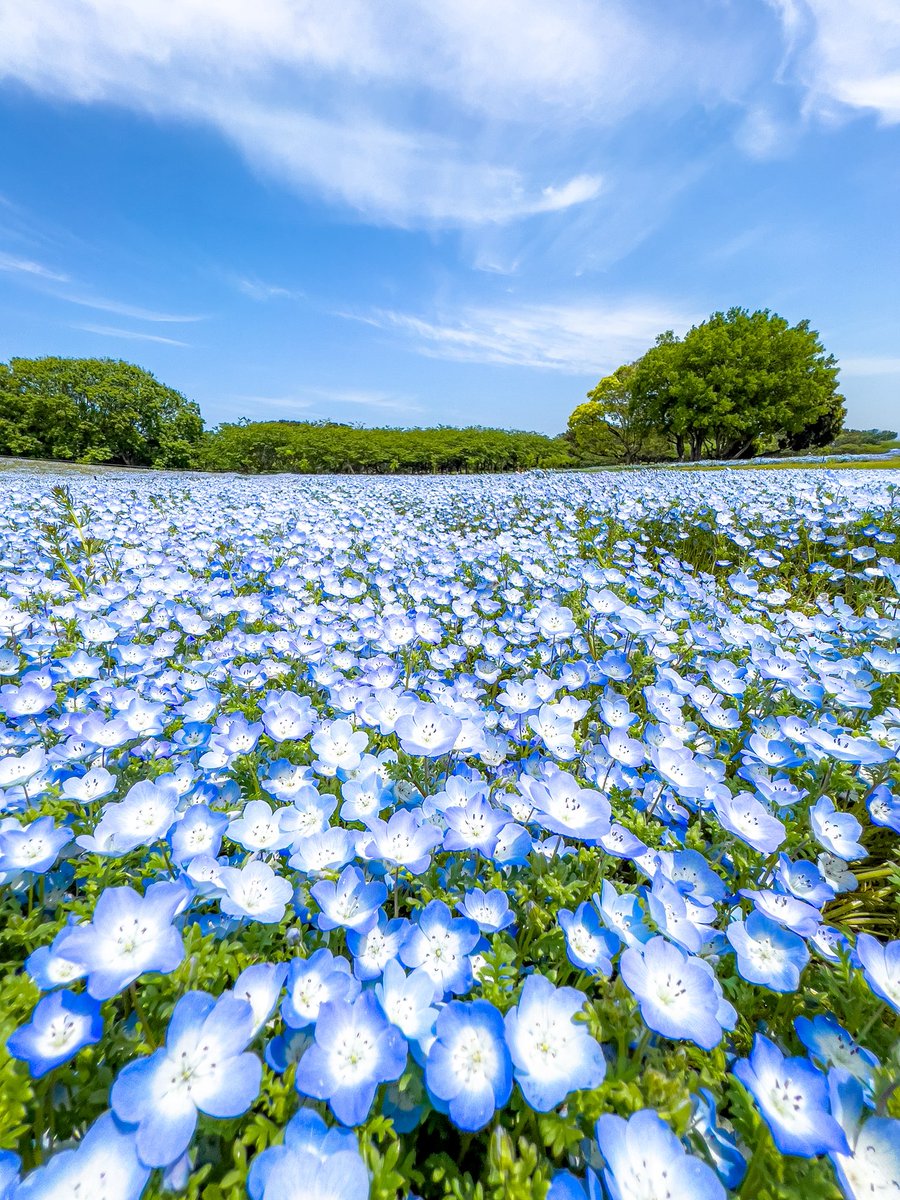 ワカル｜WAKARU tweet media