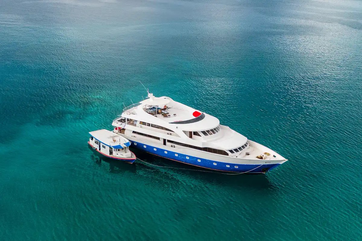 LiveaboardCom's tweet image. 30% OFF May departures in the Maldives! 🐠 Dive aboard SeaRose II with luxury suites, hot tub &amp;amp; epic manta ray + hammerhead shark encounters. Limited spots—book now!

liveaboard.com/diving/maldive…

#MaldivesDiving #Liveaboard #ScubaDiving #DiveMaldives
