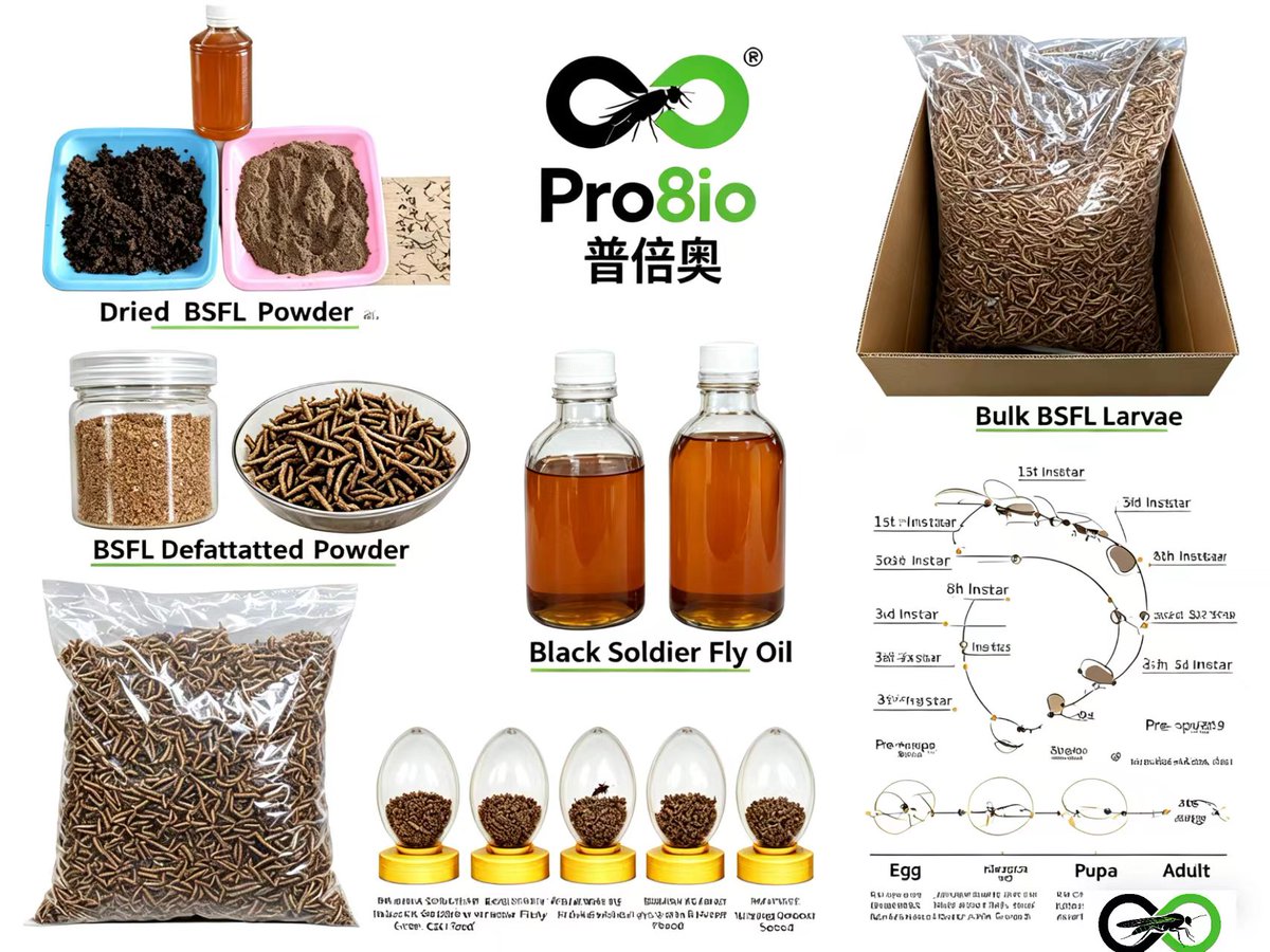 tigerman_eth's tweet photo. Black Soldier Fly Protein Powder — the future of pet food is here.
Sustainable. High-protein. Zero fishmeal.
Mother Nature’s smartest protein source.
Who’s ready to switch? https://t.co/KUjp4j42V3