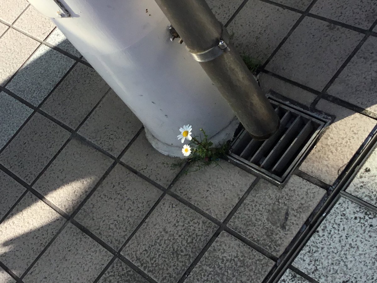 カン・チュンド@インデックス投資アドバイザー🙋‍♂️ tweet media