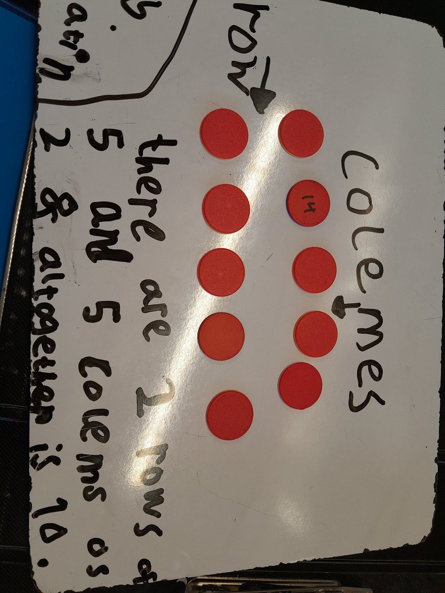Year1BH's tweet photo. Busy making arrays in maths this morning. @busheyheathjm https://t.co/Fsnga0DGLY