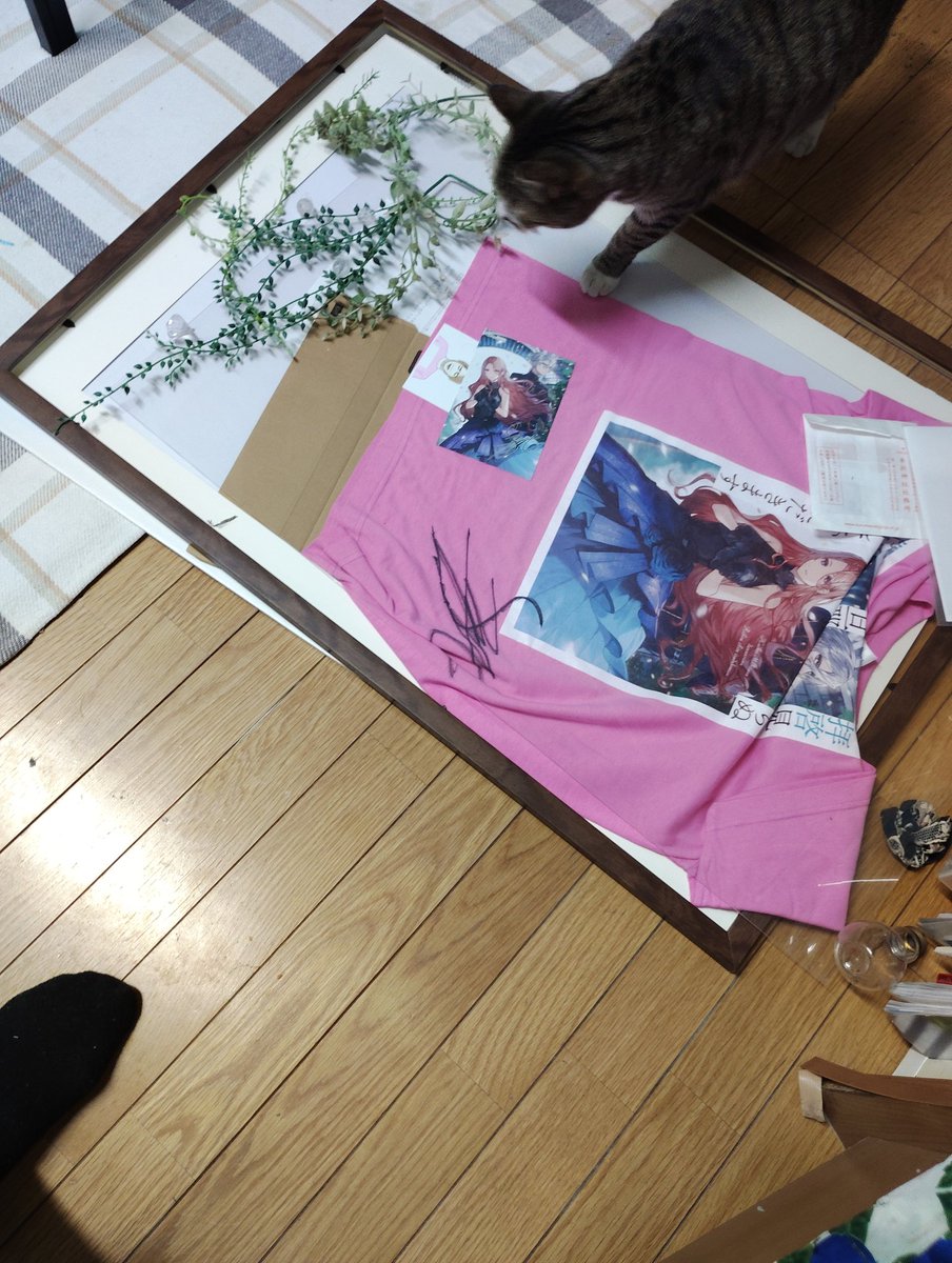 新ハルミン tweet media