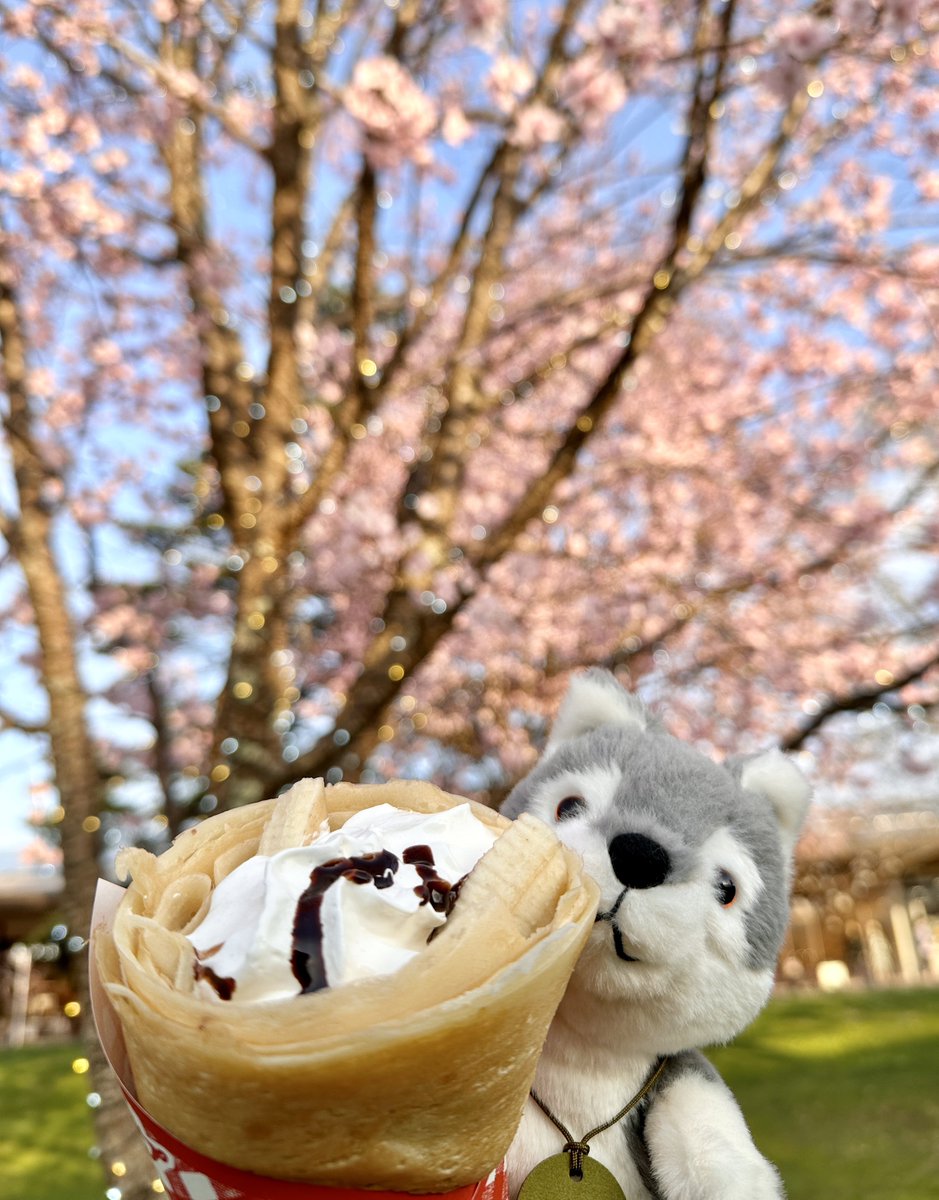 アルバス tweet media