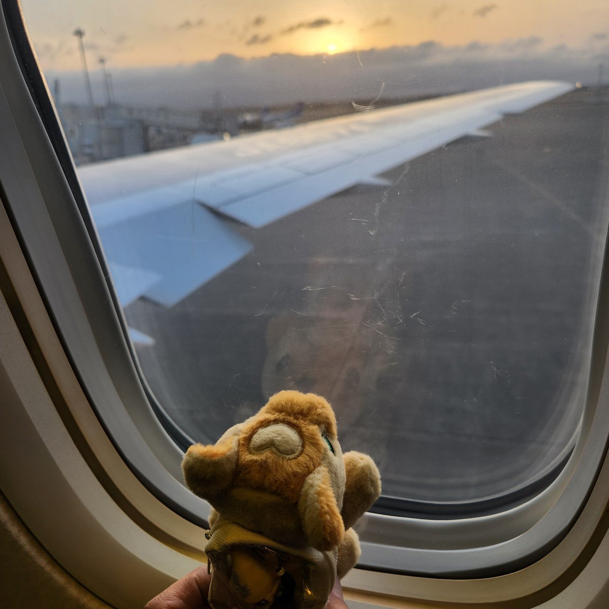 咲良茶々猫🌸 tweet media