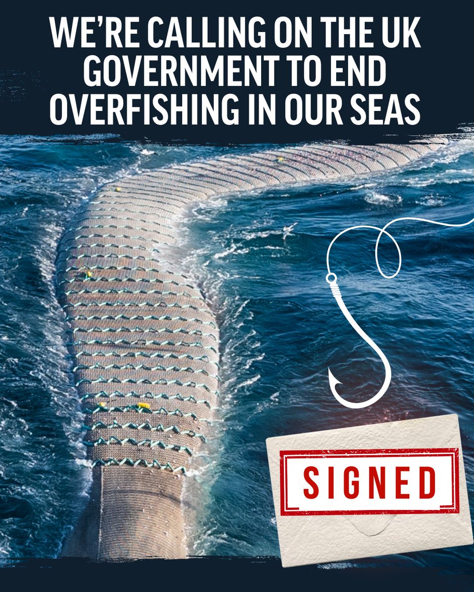Oceana UK tweet media