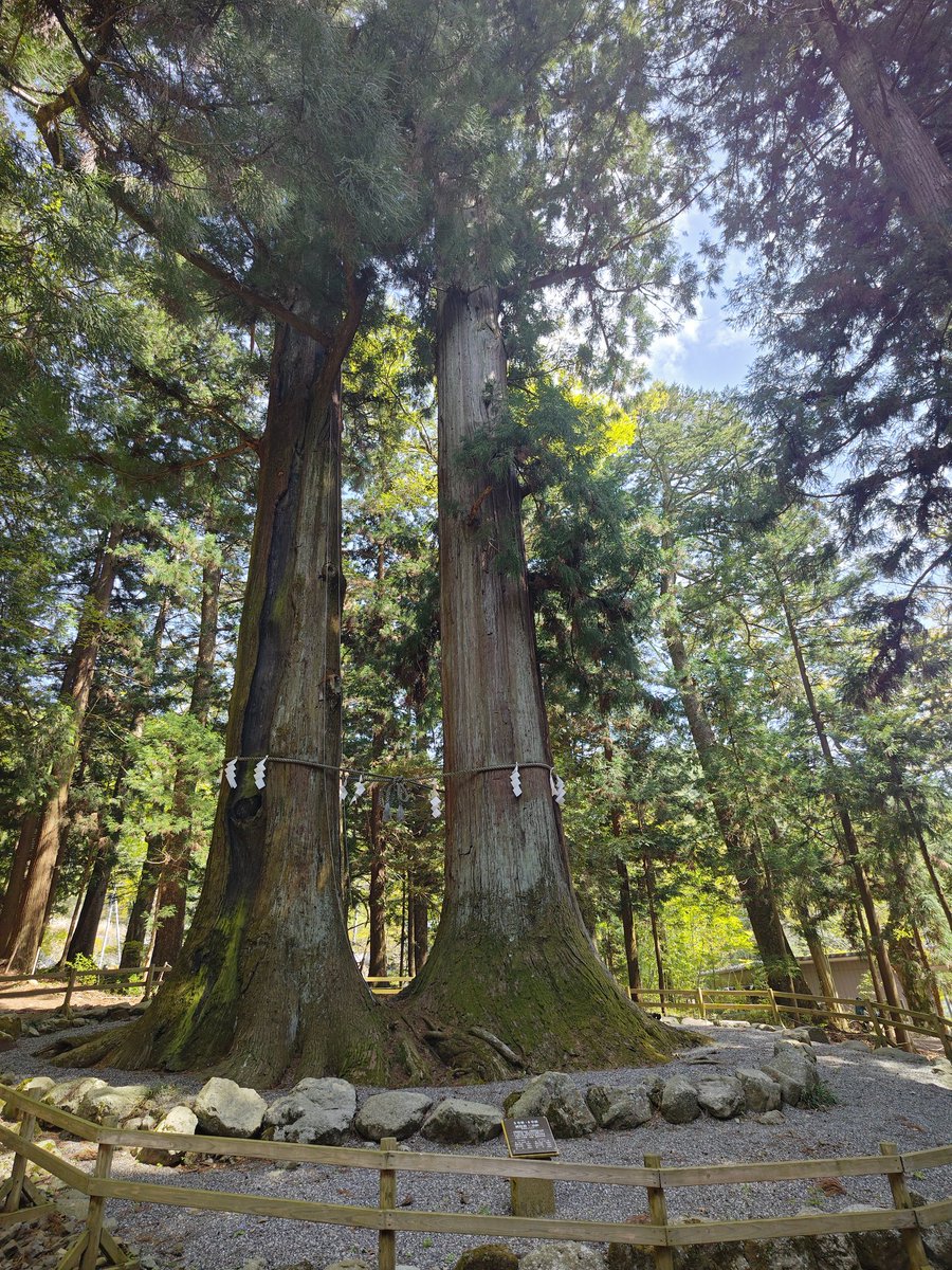 mintbeads's tweet photo. 初めての河口湖浅間神社
ここも人影まばら
ゆっくりお参り https://t.co/ZgrCUM1BU5