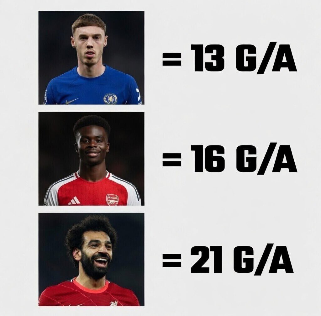 🐦‍🔥 ™️ tweet media