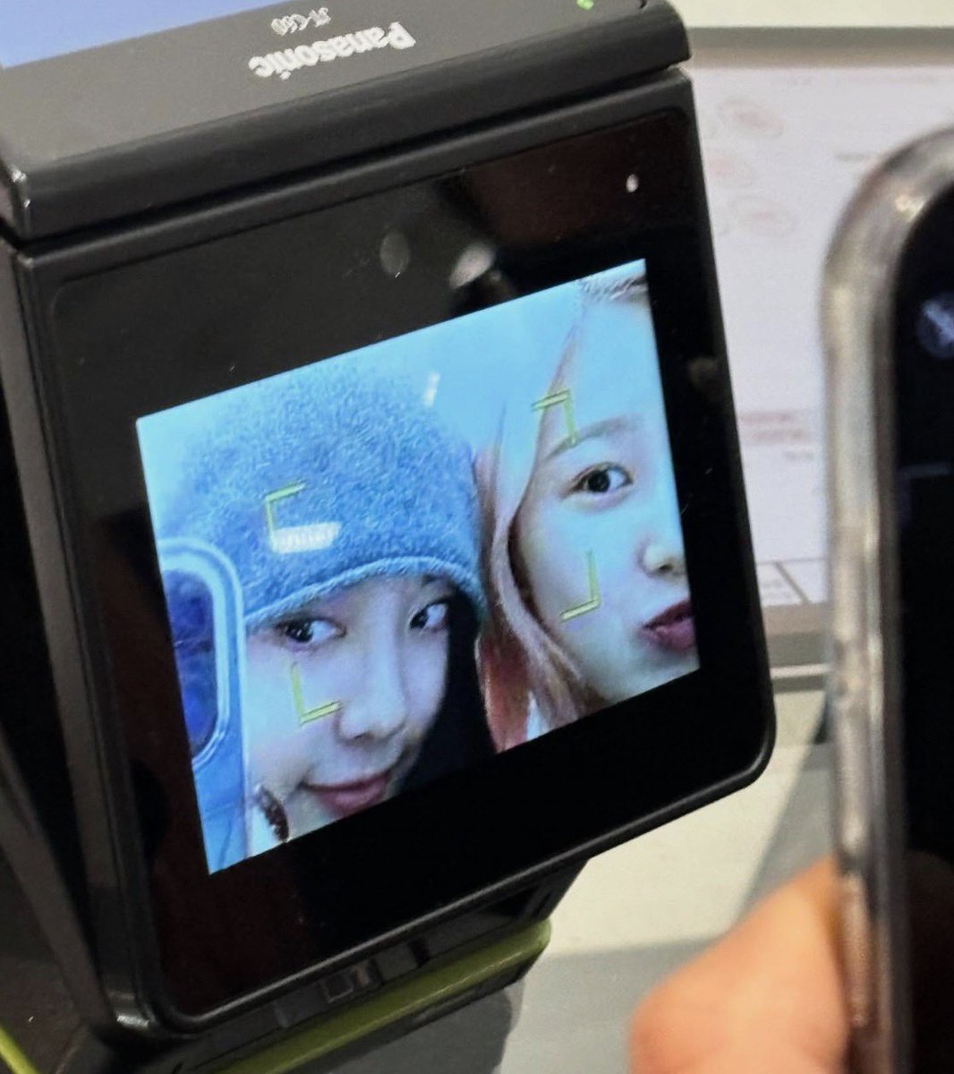 primo 🍋 tweet media