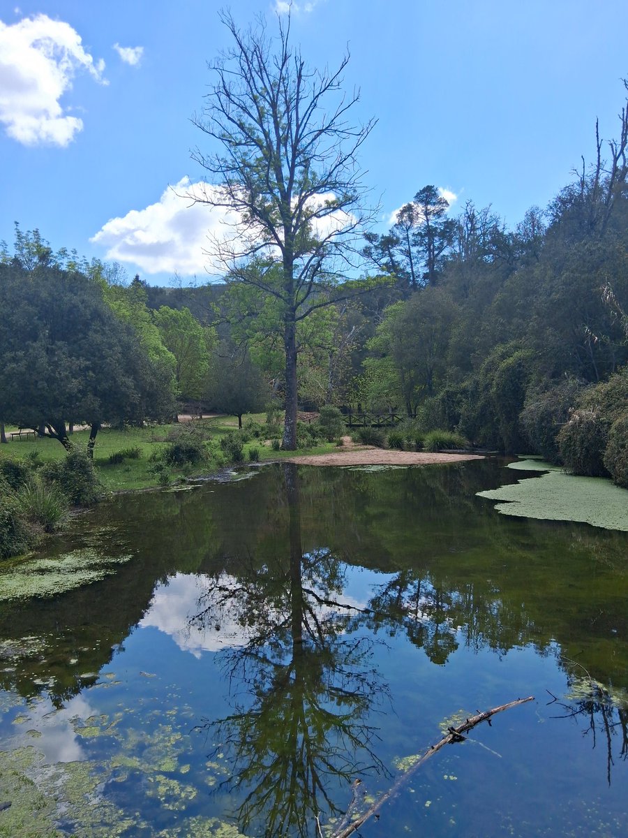 DaniaRess's tweet image. Iniziare con il cielo giusto 😚
Buon lunedi🌺🍀🌷

🌹🌺🍀🍀🦋🌸🌿🌱🥀🌳
#natureflower 
#NaturalScenery 
#Ilovespring