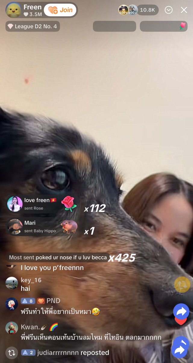 loverofFreen's tweet image. Highest view 10.8k 
The likes 5M
We miss you so much SAROCHA 
#srchafreen
#GIRLFREEN