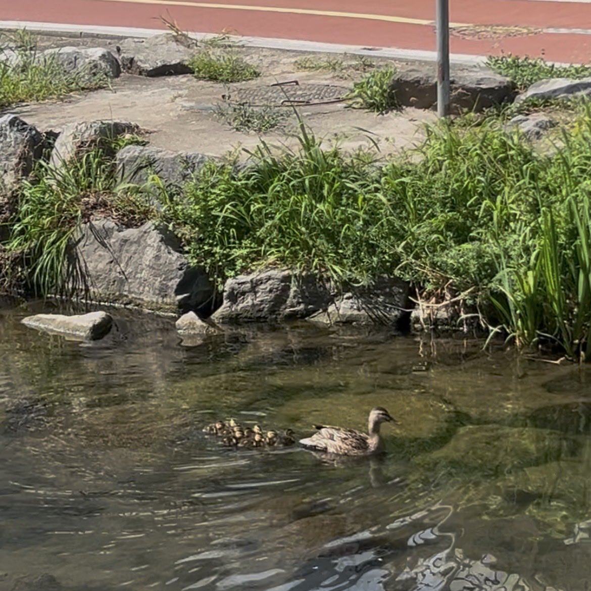 여기어때 tweet media