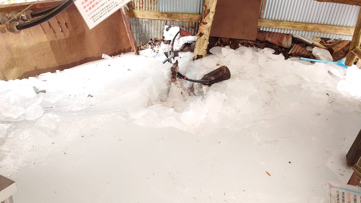 大弛小屋 tweet media