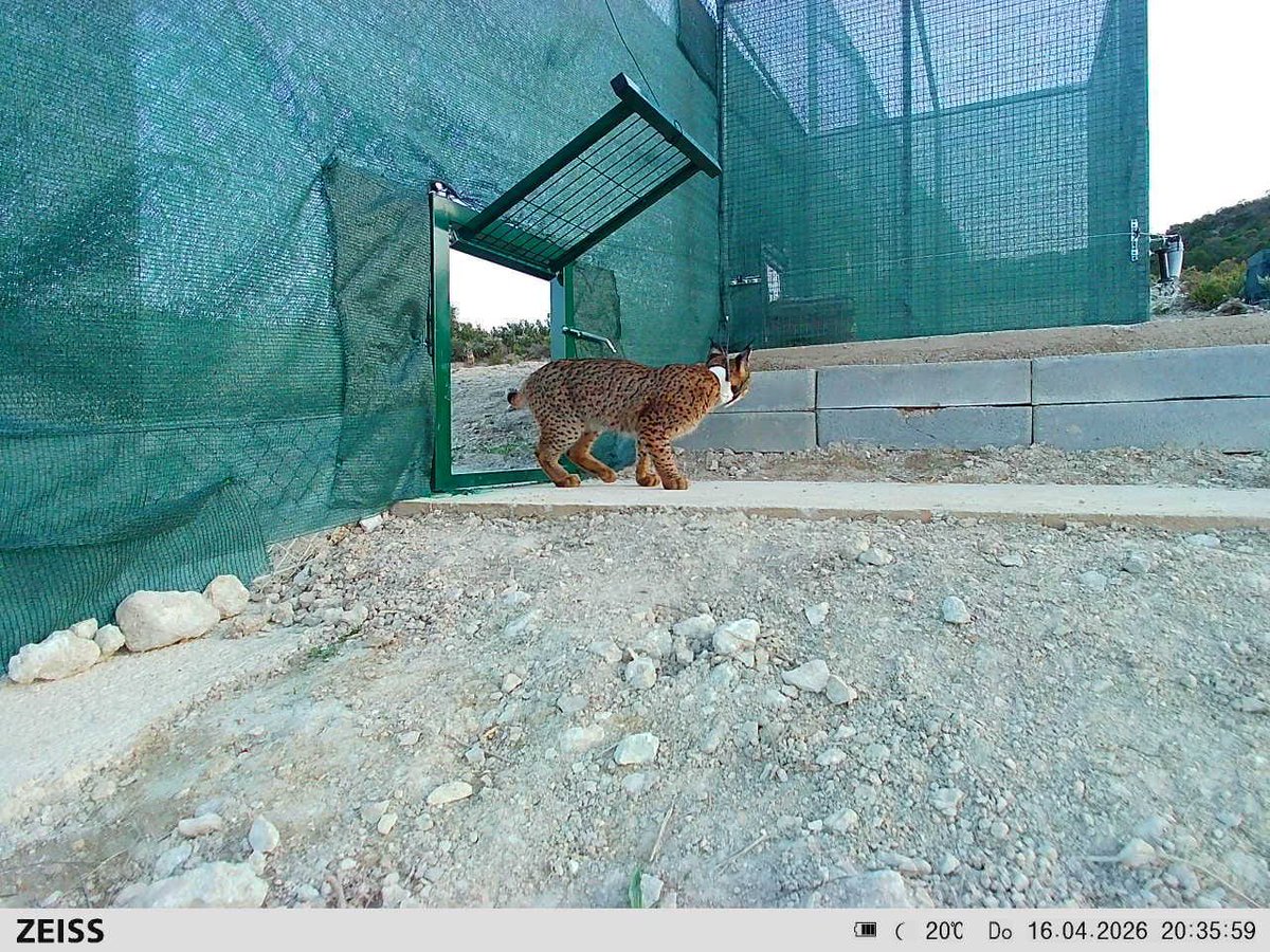 Gobierno de Aragón tweet media