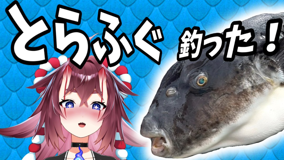 Mai_Hinomoto's tweet image. ✨✨✨✨✨✨✨✨✨✨
🎣釣りに行ってきたので話したい🎣
　21(火)❣20時から！Wickも説明👓
✨✨✨✨✨✨✨✨✨✨

【釣り雑談】トラフグ釣果報告！
youtube.com/live/aZwSWd-hf…

#釣り　#Vtuber