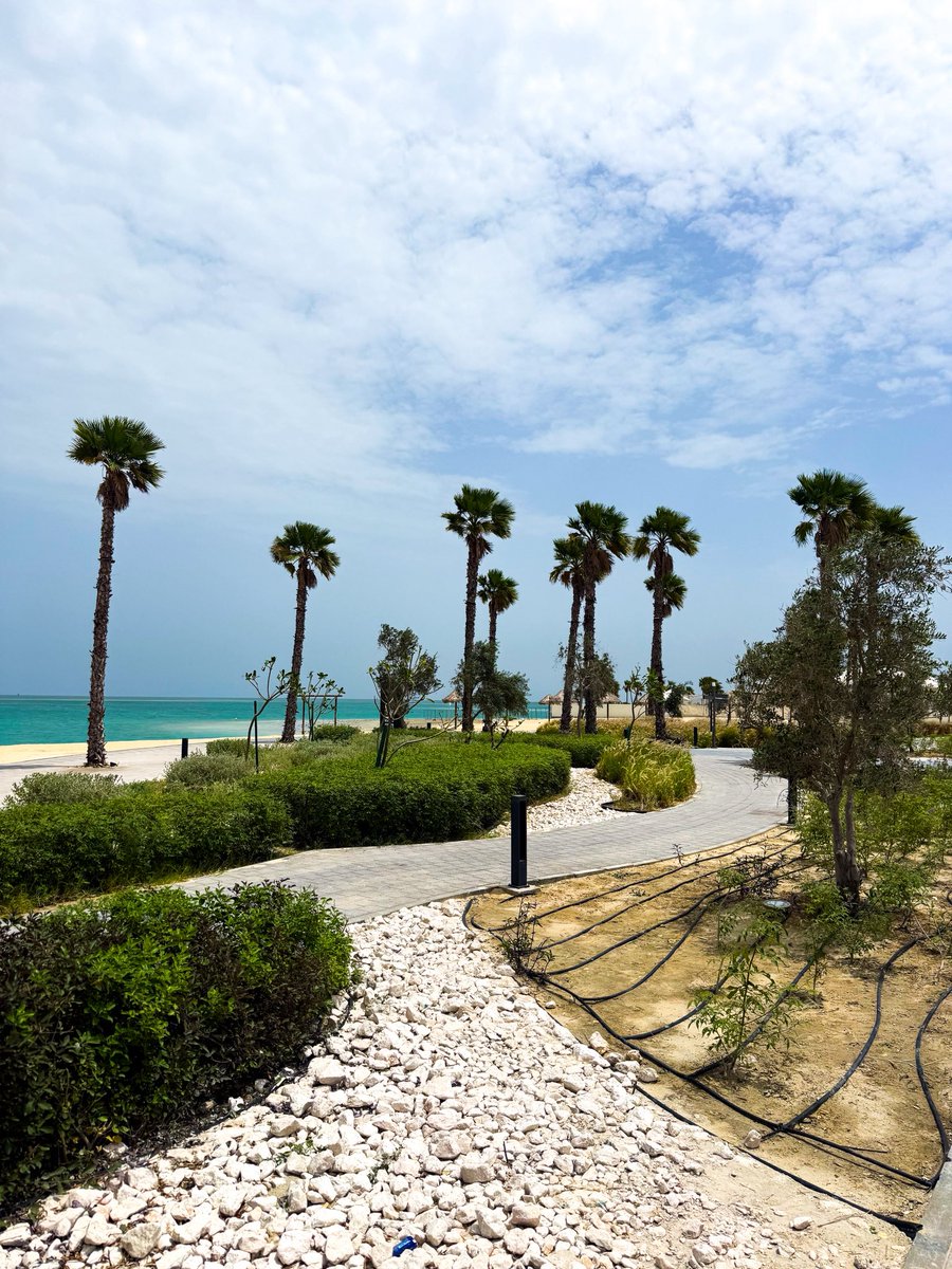 هشام عبدالرحمن tweet media