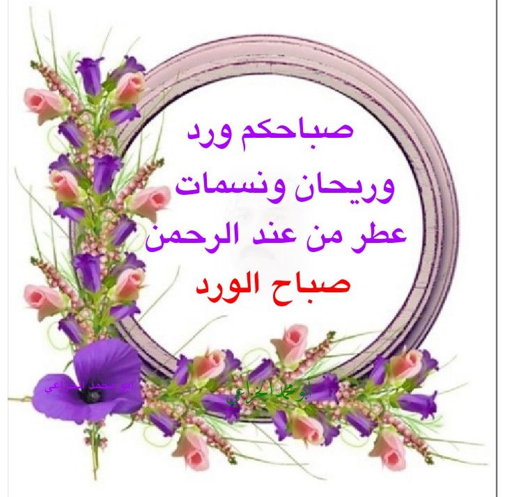 نوره الانوار (@alanwarnwr84310) on Twitter photo 