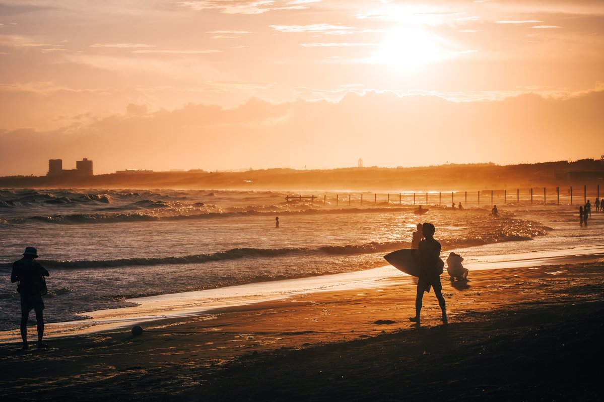 うえさん/Aliace🇯🇵 📸 tweet media