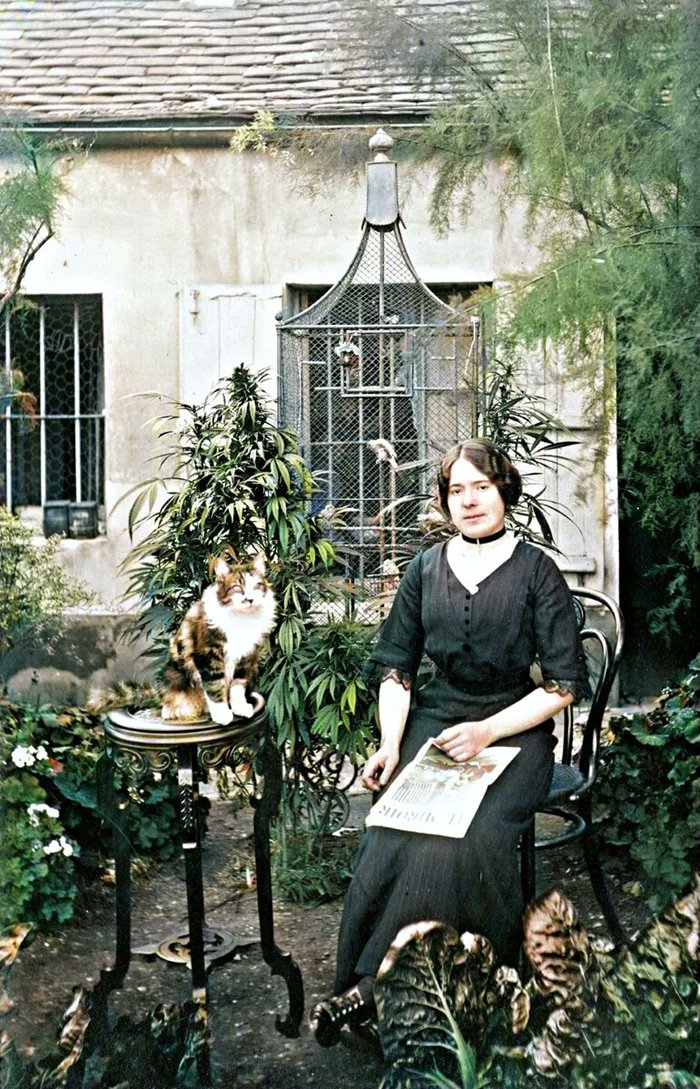 HISTORIA tweet media