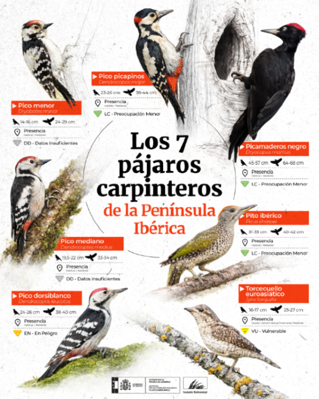 Fundación Biodiversidad tweet media