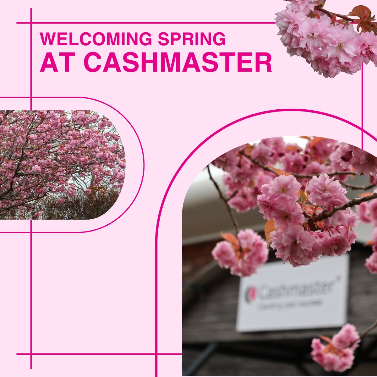 Cashmaster International Ltd. tweet media