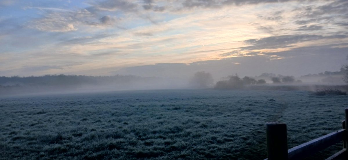 BtsColchester's tweet photo. Congratulations to Elisa, the winner of our #GoWild photo competition! Thank you to everyone who shared photos of nature in Colchester - what a beautiful place it is! ❤️ @yourcolchester @ColMuseums https://t.co/AeEne8Jqir