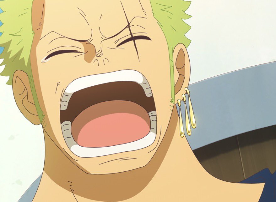 daily zoro tweet media