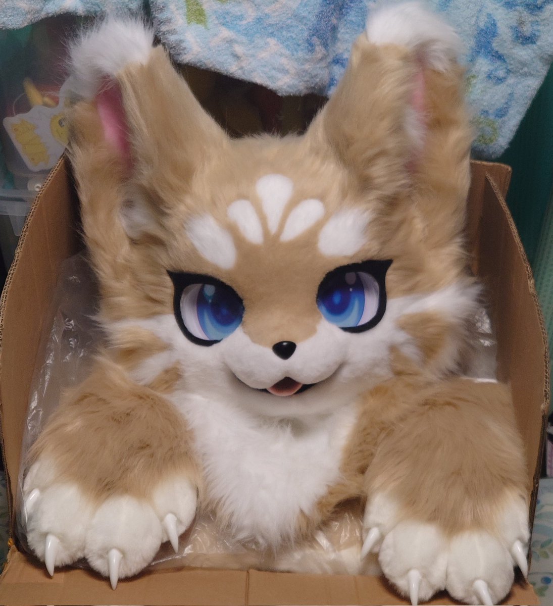 がるりゅう tweet media