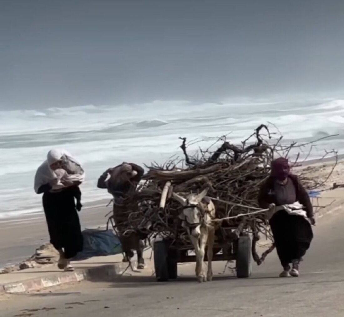 Dr. Zaid Alsalman tweet media